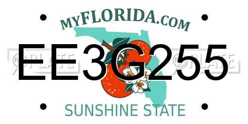 EE3G255 Florida License Plate