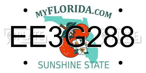 EE3G288 Florida License Plate