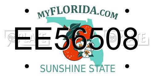 EE56508 Florida License Plate