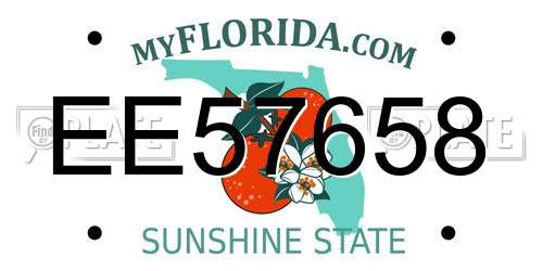EE57658 Florida License Plate