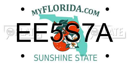 EE5S7A Florida License Plate