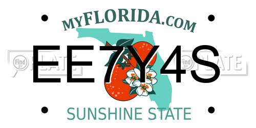 EE7Y4S Florida License Plate
