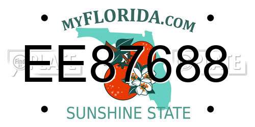 EE87688 Florida License Plate