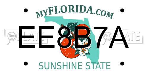 EE8B7A Florida License Plate