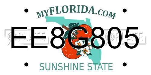 EE8G805 Florida License Plate