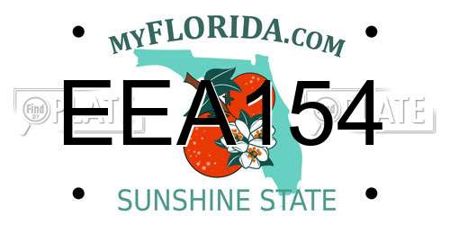 EEA154 Florida License Plate