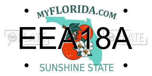 EEA18A Florida License Plate