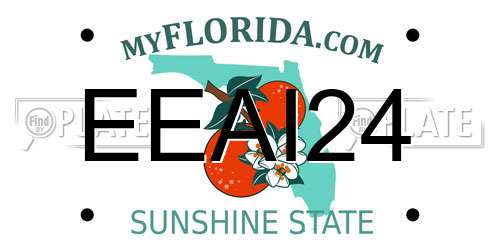 EEAI24 Florida License Plate
