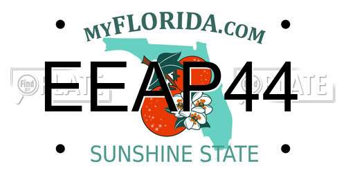 EEAP44 Florida License Plate