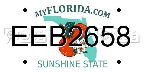 EEB2658 Florida License Plate