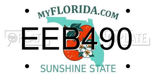 EEB490 Florida License Plate