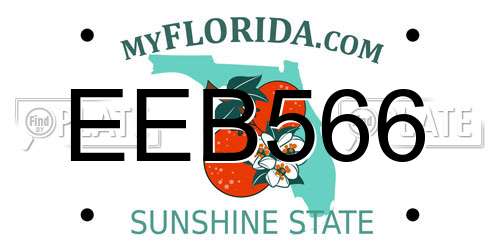 EEB566 Florida License Plate