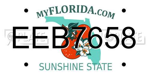 EEB7658 Florida License Plate