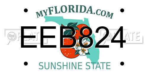 EEB824 Florida License Plate