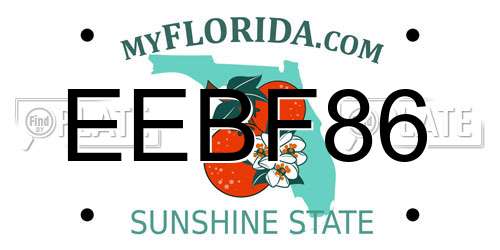 EEBF86 Florida License Plate
