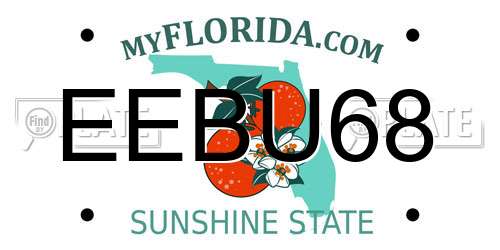 EEBU68 Florida License Plate
