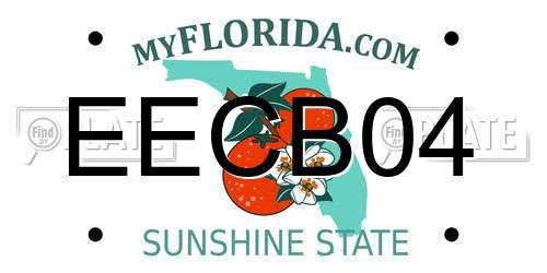 EECB04 Florida License Plate