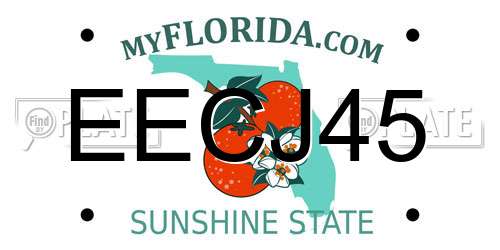 EECJ45 Florida License Plate