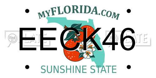 EECK46 Florida License Plate