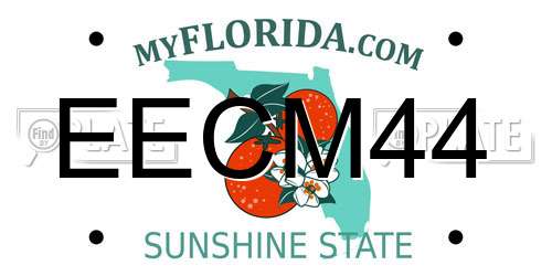 EECM44 Florida License Plate