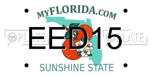 EED15 Florida License Plate