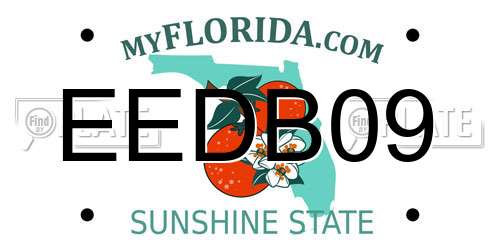 EEDB09 Florida License Plate