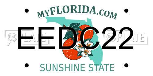 EEDC22 Florida License Plate