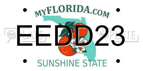 EEDD23 Florida License Plate