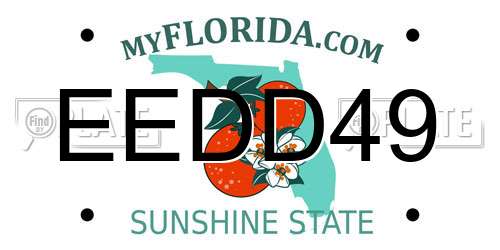 EEDD49 Florida License Plate