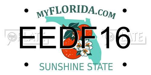 EEDF16 Florida License Plate