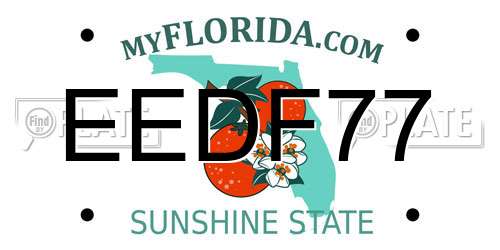 EEDF77 Florida License Plate