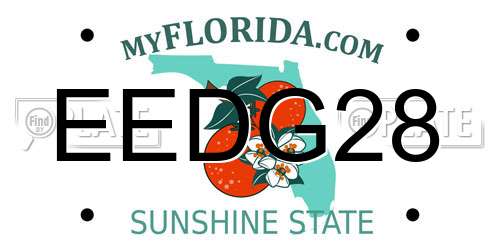 EEDG28 Florida License Plate