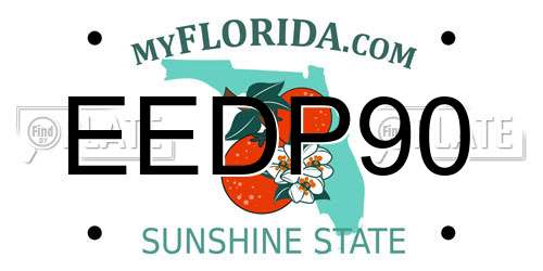 EEDP90 Florida License Plate