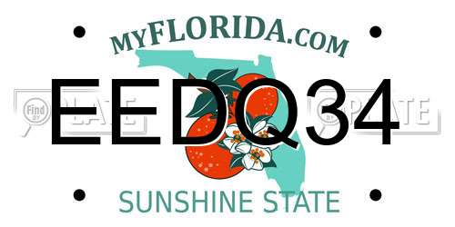 EEDQ34 Florida License Plate