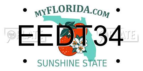 EEDT34 Florida License Plate