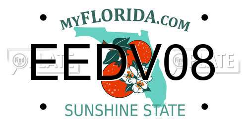EEDV08 Florida License Plate