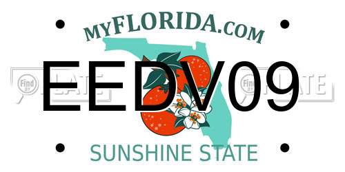 EEDV09 Florida License Plate
