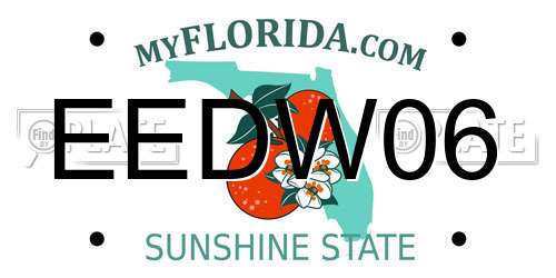 EEDW06 Florida License Plate