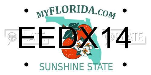 EEDX14 Florida License Plate
