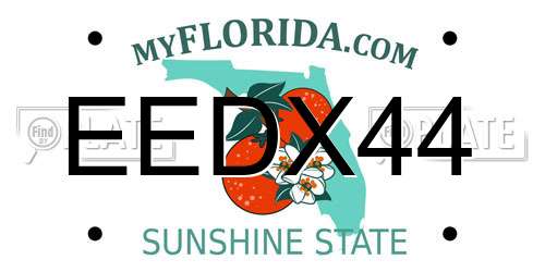EEDX44 Florida License Plate