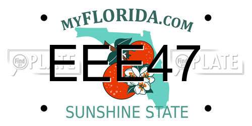 EEE47 Florida License Plate