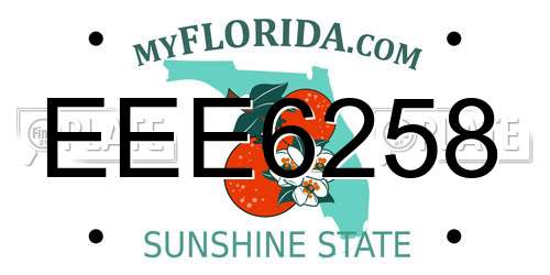 EEE6258 Florida License Plate