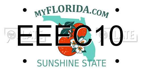 EEEC10 Florida License Plate