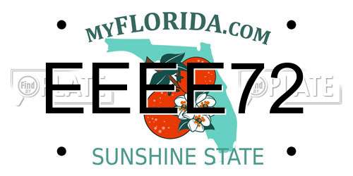 EEEE72 Florida License Plate