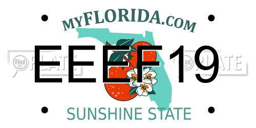 EEEF19 Florida License Plate