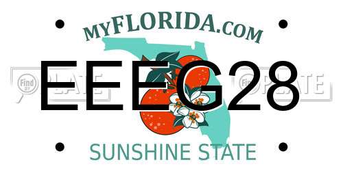 EEEG28 Florida License Plate