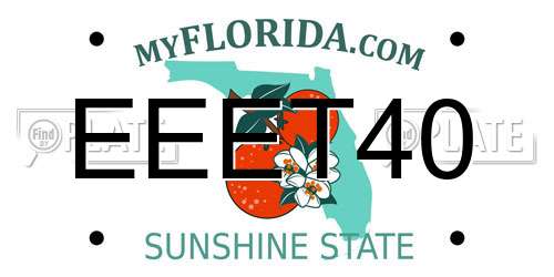 EEET40 Florida License Plate