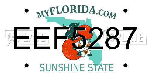 EEF5287 Florida License Plate
