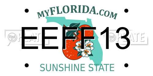 EEFF13 Florida License Plate