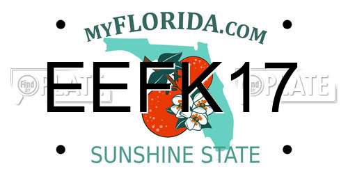 EEFK17 Florida License Plate